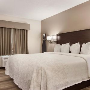 Standard King Room Disability Access